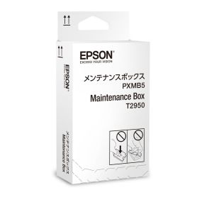 Epson WorkForce WF-100W Maintenance Box - C13T295000