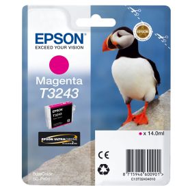 Epson Tinteiro T3243 Magenta - C13T32434010