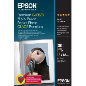Epson Premium Glossy Photo Paper (13 x 18 cm, 30 Folhas)  - C13S042154