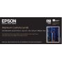 Premier Art Water Resistant CANVAS para Epson, 17''X12,2m - C13S041846
