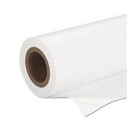 Epson Premium SemiGloss Photo Paper (170) 16.5'' X30.5m - C13S042075