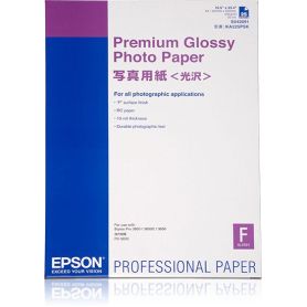 Epson Premium Glossy Photo PAPER A2(420X594mm) (25 Folhas) - C13S042091