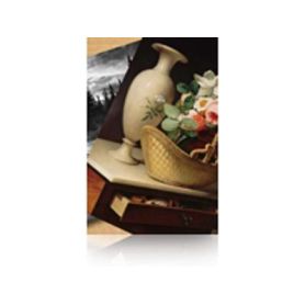 Epson Premium LUSTER PHOT Paper (260) 60'' X 30.5m - C13S042134