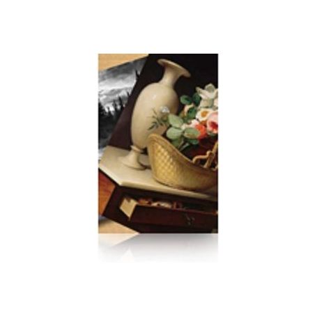 Epson Premium LUSTER PHOT Paper (260) 60'' X 30.5m - C13S042134