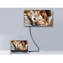CABO EQUIP DISPLAY-PORT M M BLACK 2.0m 119332
