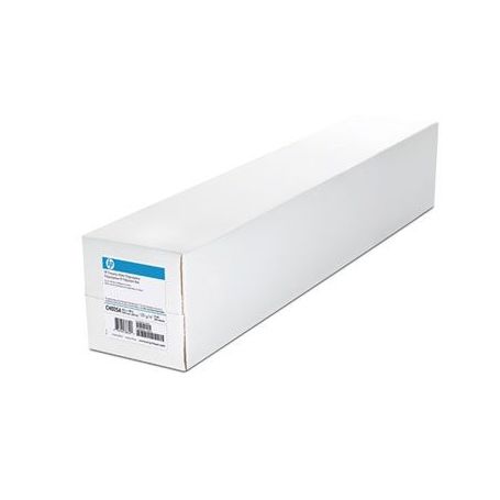 HP 2-pack Everyday Matte Polypropylene-1067 mm x 30.5 m (42 in x 100 ft) - CH025A