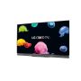 LG OLED55E6V - 55' OLED TV - E6 -