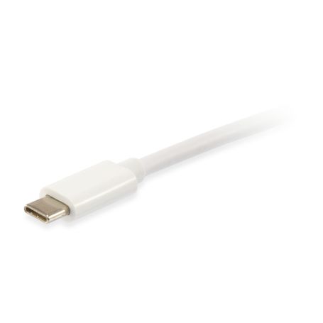 Equip USB 3.1 Cable C-C M M 2.0m Platinum Type C - 128352