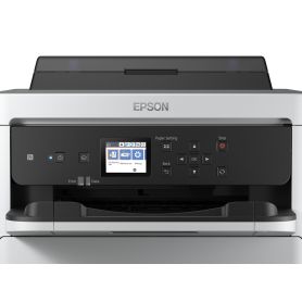 Epson WorkForce Pro WF-C529R   C579R Black XXL Ink Supply Unit  RIPS - C13T01D100
