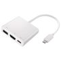 ADAPTADOR USB Type-C  HDMI 2-POWER HUB0104A