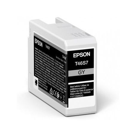 Epson Singlepack Gray T46S7 UltraChrome Pro 10 ink 25ml - C13T46S700
