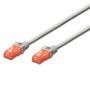 EWENT Cabo de rede Cat.6 U UTP 0.50m cinza - IM1000