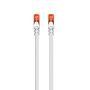 EWENT Cabo de rede Cat.6 U UTP 7.5m cinza - IM1030