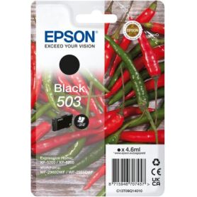 Epson Singlepack Black 503 Ink - C13T09Q14020