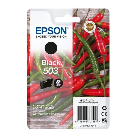Epson Singlepack Black 503 Ink - C13T09Q14020