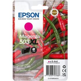 Epson Singlepack Magenta 503XL Ink - C13T09R34020