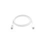 Equip USB 3.2 Gen 1 C to C Cable, M M, 2.0m, M M, 5G transfer, 3A (60W), White - 128362