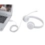 Lenovo 110 Stereo USB Headset - Retail Box - GXD1E71385