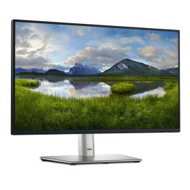 Dell 22 Monitor - P2225H
