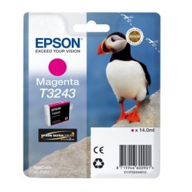 Epson Tinteiro T3243 Magenta - C13T32434010