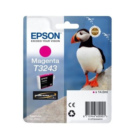 Epson Tinteiro T3243 Magenta - C13T32434010