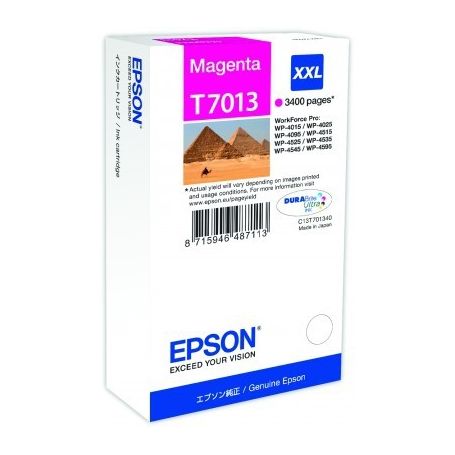 Epson Tinteiro Magenta Capacidade extra WP-4000/4500 - C13T70134010
