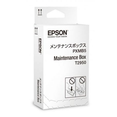 Epson WorkForce WF-100W Maintenance Box - C13T295000