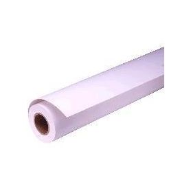 Epson Proofing Paper White Semimatte 44'' roll - C13S042006