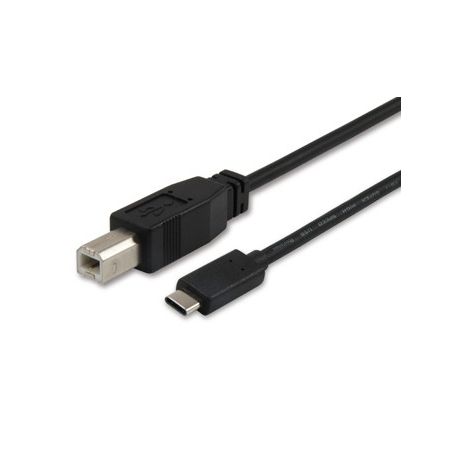 Equip USB 2.0 Cable B-C M/M 1,0m Type C - 12888207
