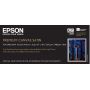 Premier Art Water Resistant CANVAS para Epson, 17''X12,2m - C13S041846