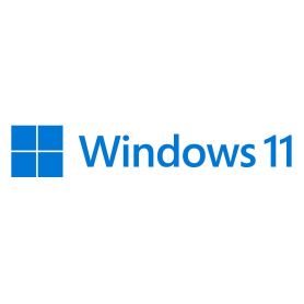 Microsoft Windows 11 Pro FPP 64-bit Português USB - HAV-00196